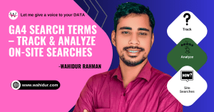 Web analyst Wahidur